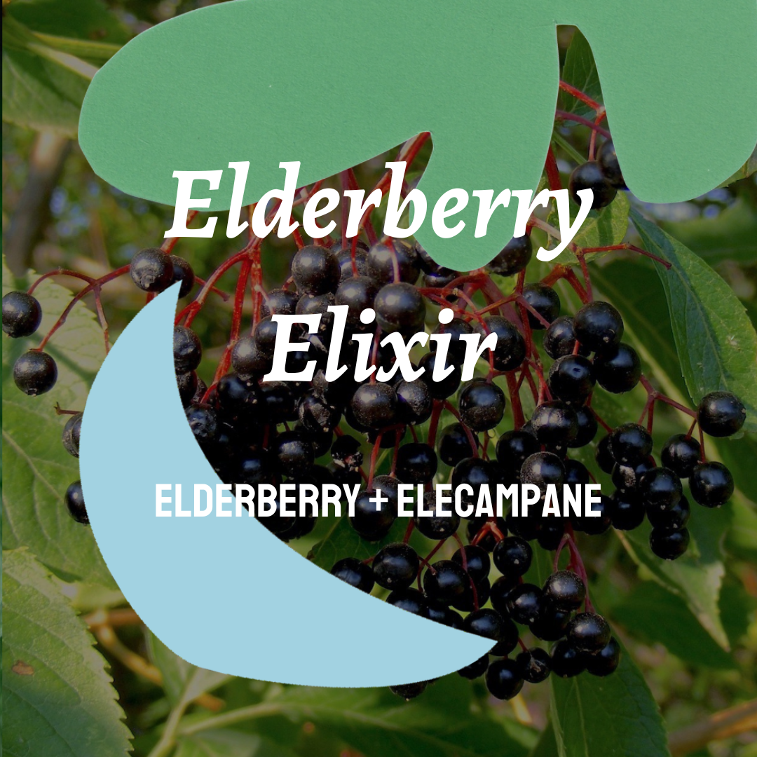 Elderberry Elixir