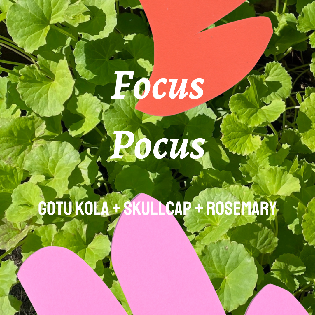 Focus Pocus Tincture